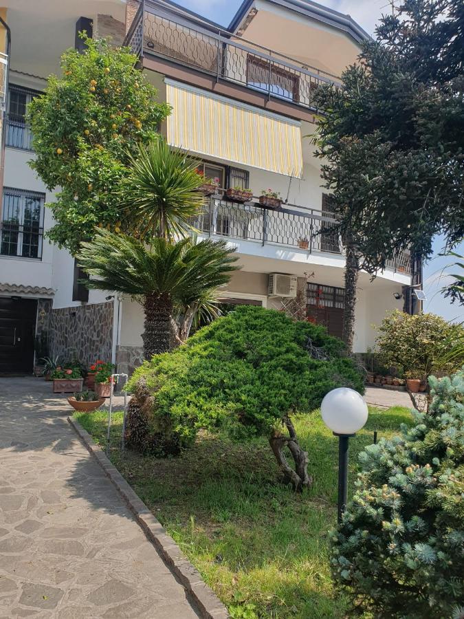 Brusciano Ospitalita Il Noce B&B 외부 사진