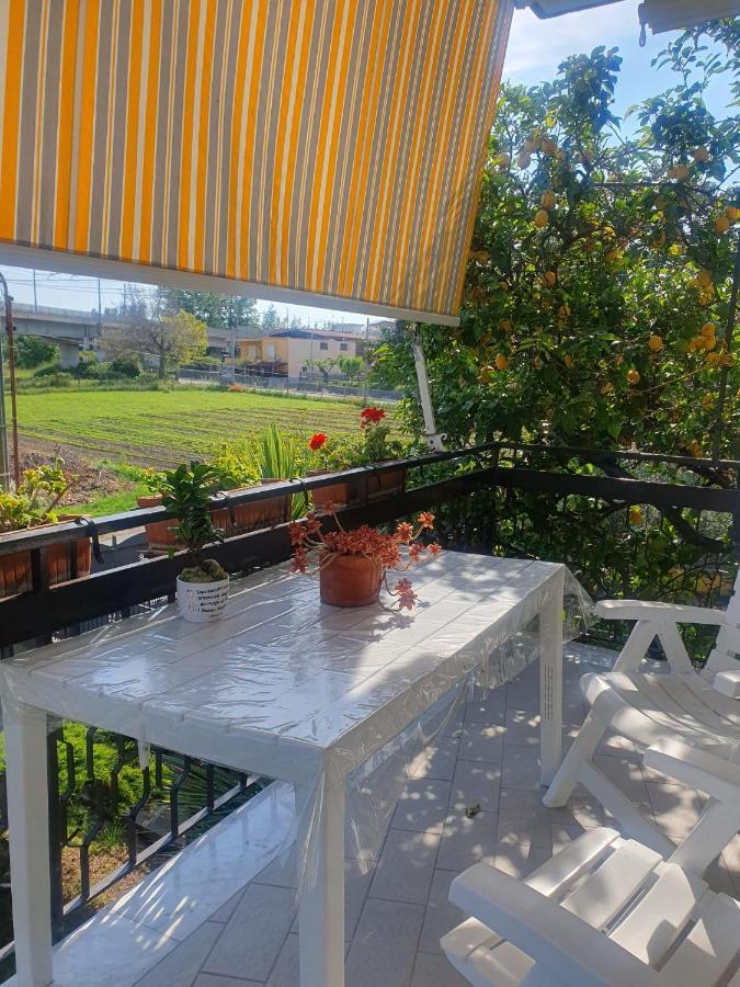 Brusciano Ospitalita Il Noce B&B 외부 사진