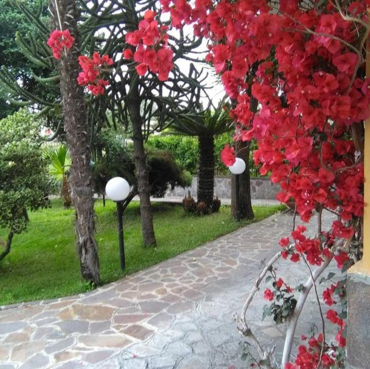 Brusciano Ospitalita Il Noce B&B 외부 사진