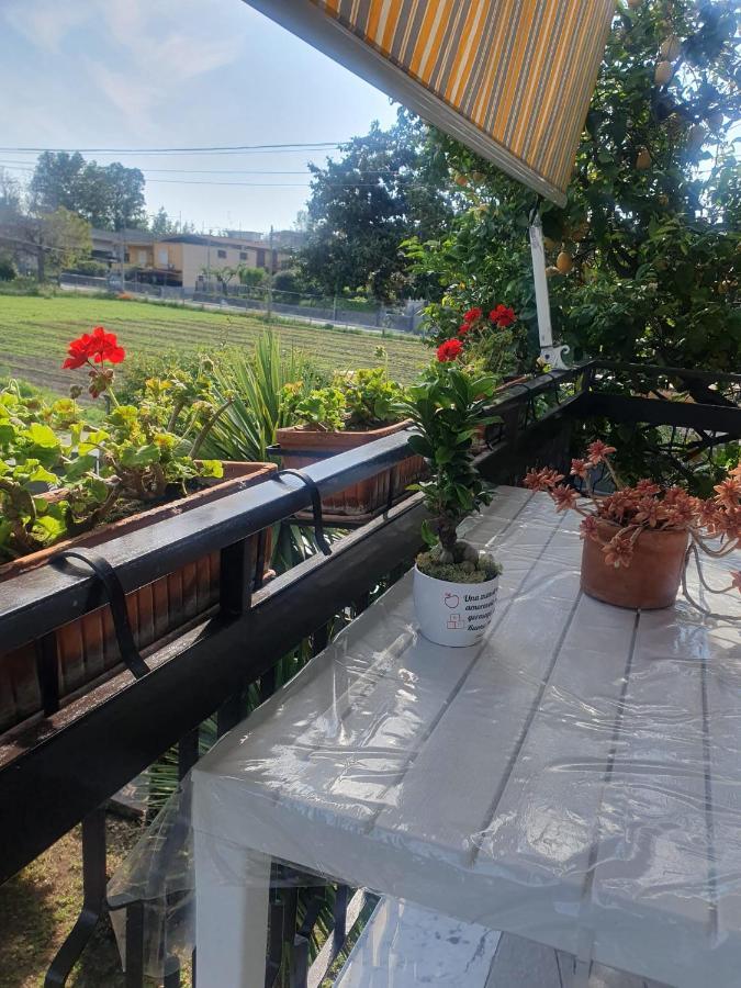 Brusciano Ospitalita Il Noce B&B 외부 사진
